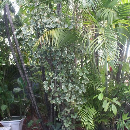 Caribbean Tourist Villa Port of Spain Εξωτερικό φωτογραφία